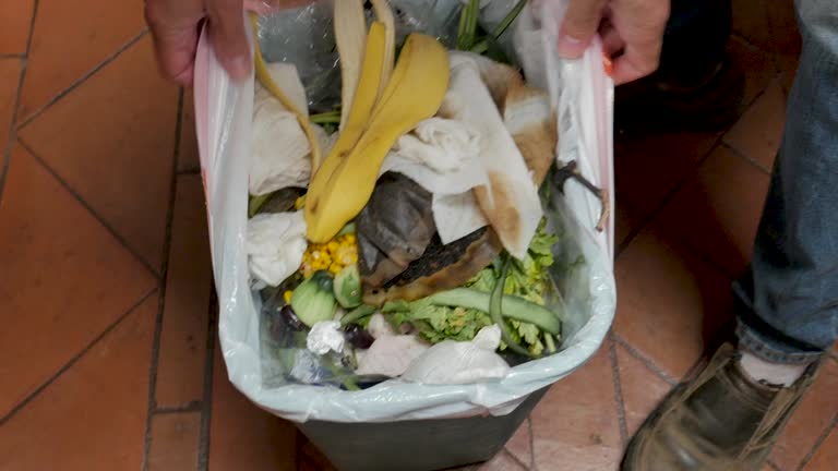 Best Retail Junk Removal  in Elberta, AL